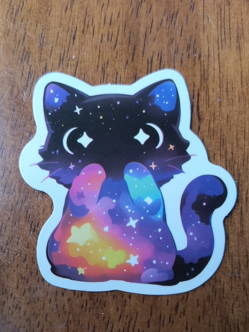 Galaxy Cat Vinyl Sticker - Multicolor